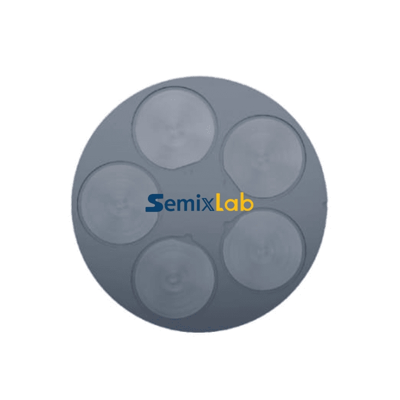 SiC coated wafer susceptor