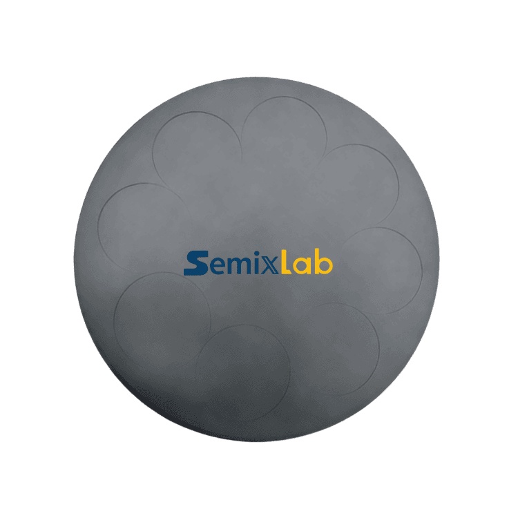 Silicon Carbide Coated Pancake Susceptor for LPE PE3061S