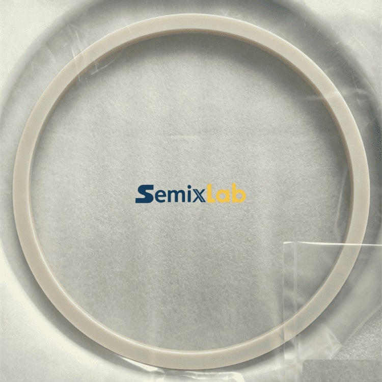 SiC Insert Ring 0200-21111